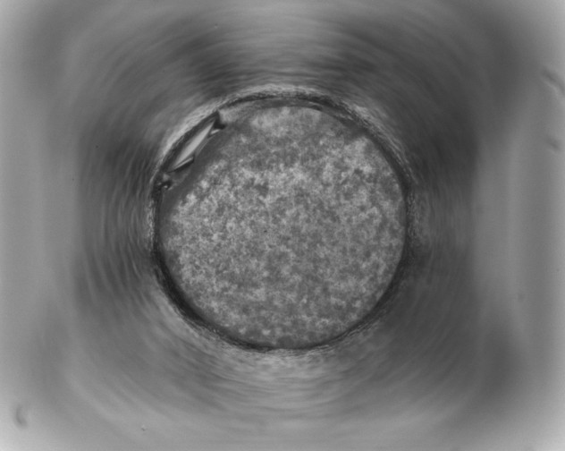 X0000102500016200808291721