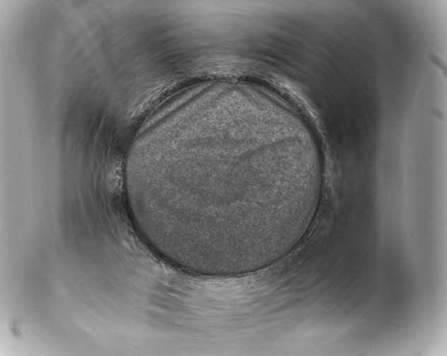 X0000102500017200808291721