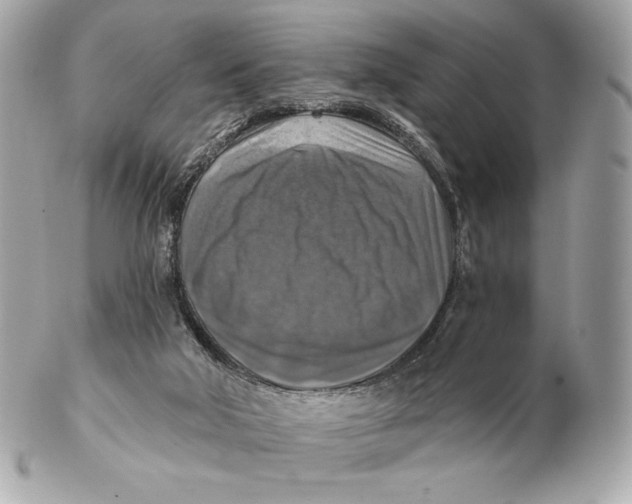 X0000102500018200808291721