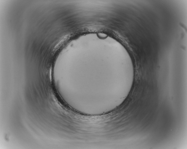 X0000102500019200808291721