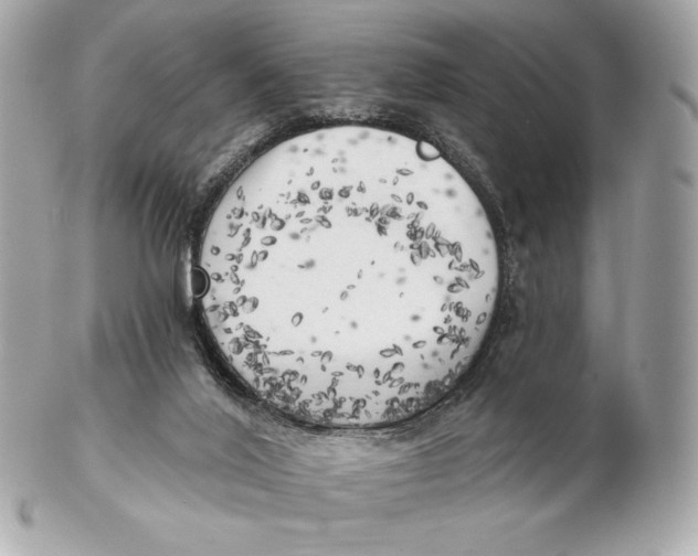 X0000102500020200808291721