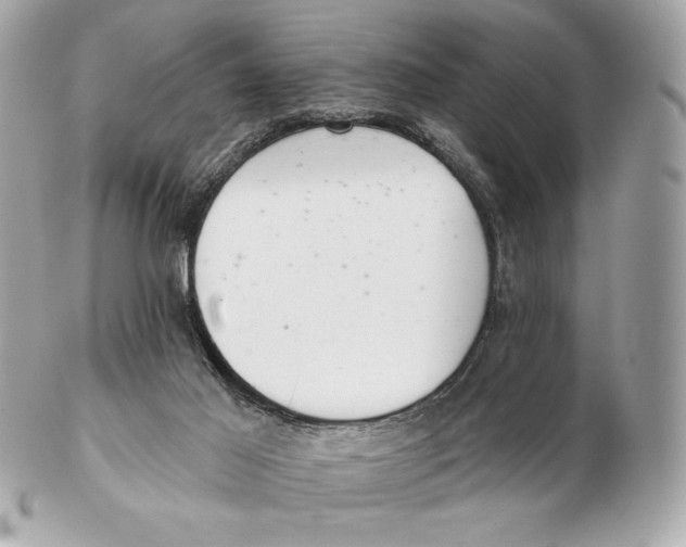 X0000102500021200808291721