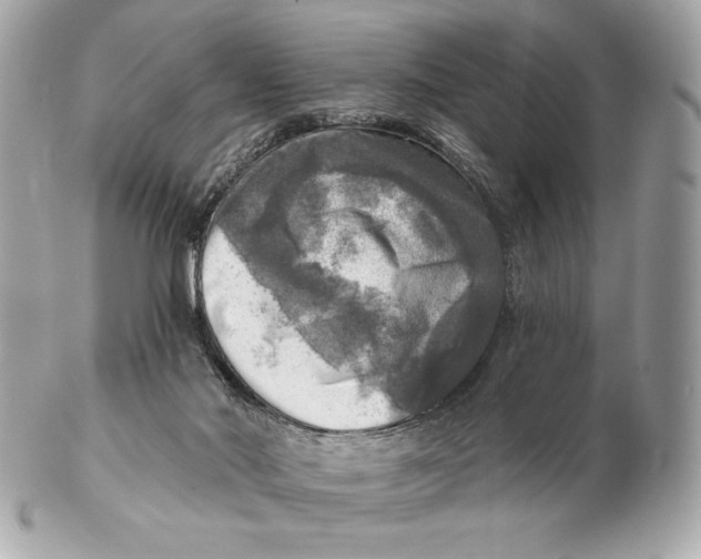 X0000102500022200808291721