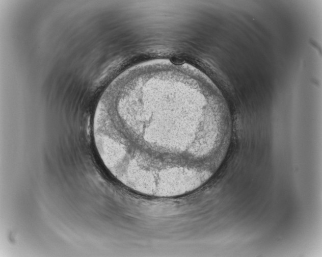 X0000102500024200808291721