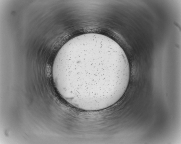 X0000102500025200808291721