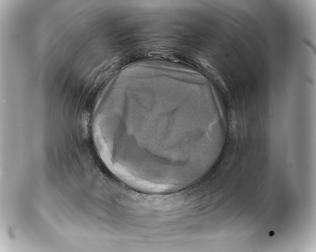 X0000102500026200808291721