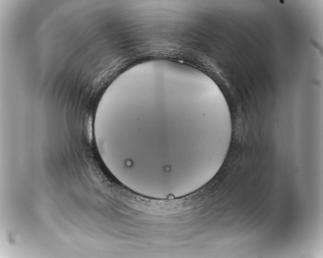 X0000102500027200808291721