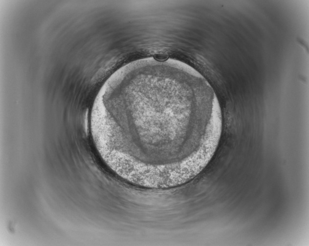 X0000102500028200808291721