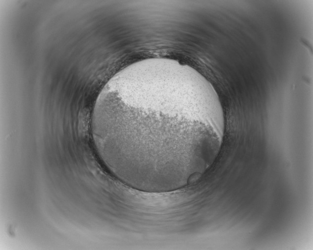 X0000102500030200808291721