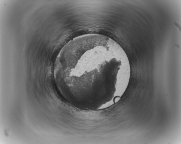 X0000102500032200808291721