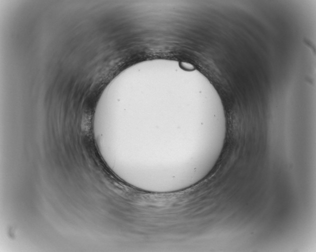 X0000102500033200808291721