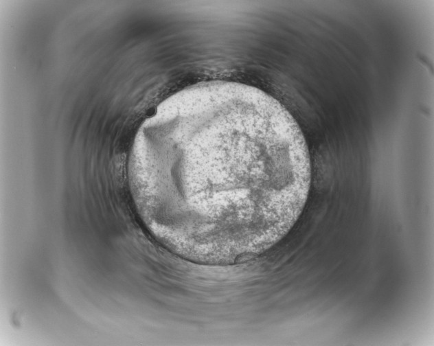 X0000102500034200808291721