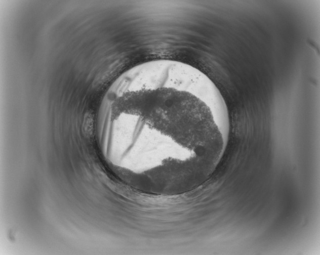 X0000102500036200808291721