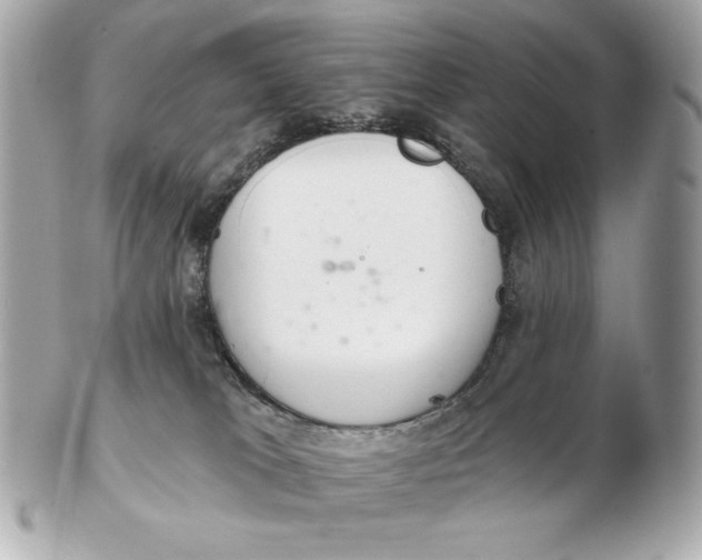 X0000102500037200808291721