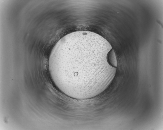 X0000102500038200808291721