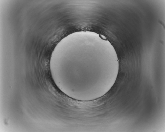 X0000102500039200808291721