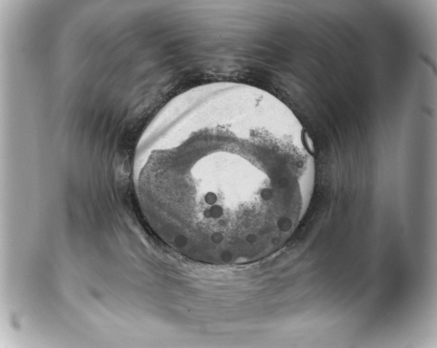 X0000102500040200808291721