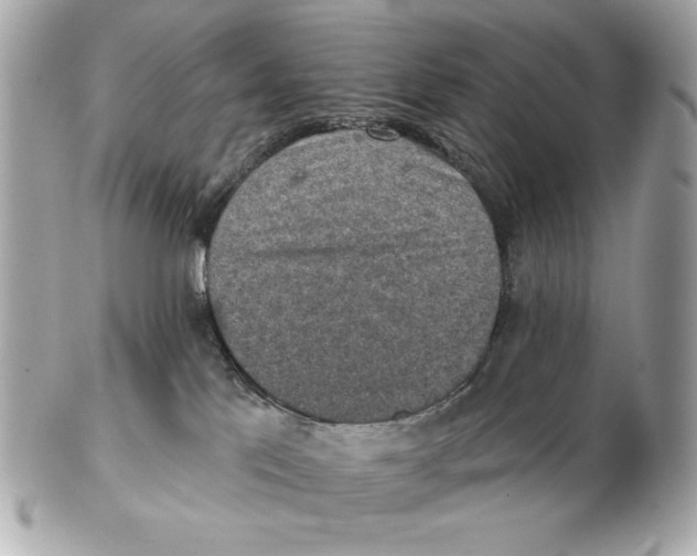 X0000102500041200808291721