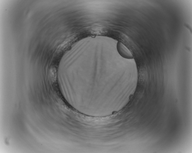 X0000102500043200808291721