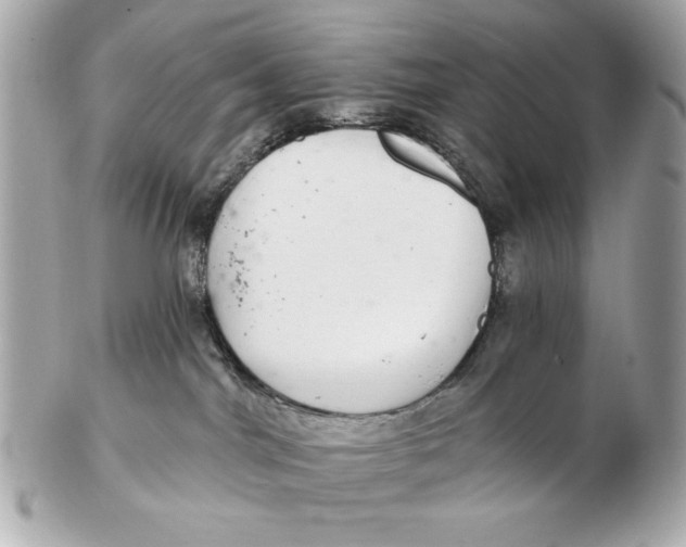 X0000102500044200808291721