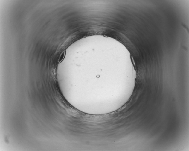 X0000102500045200808291721