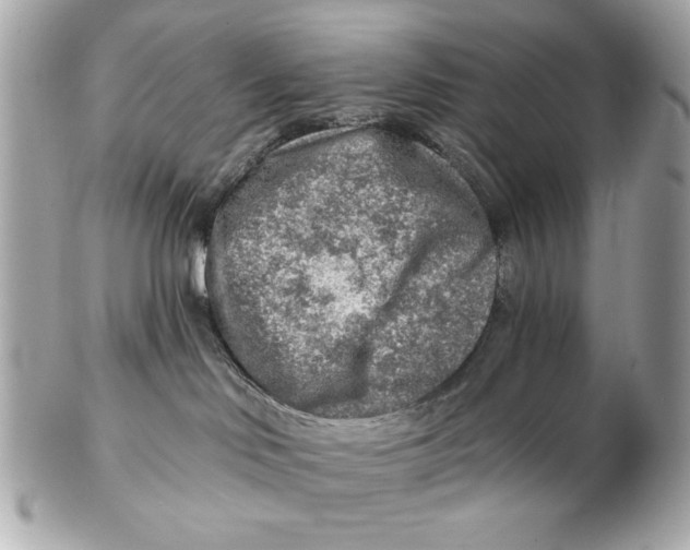 X0000102500046200808291721