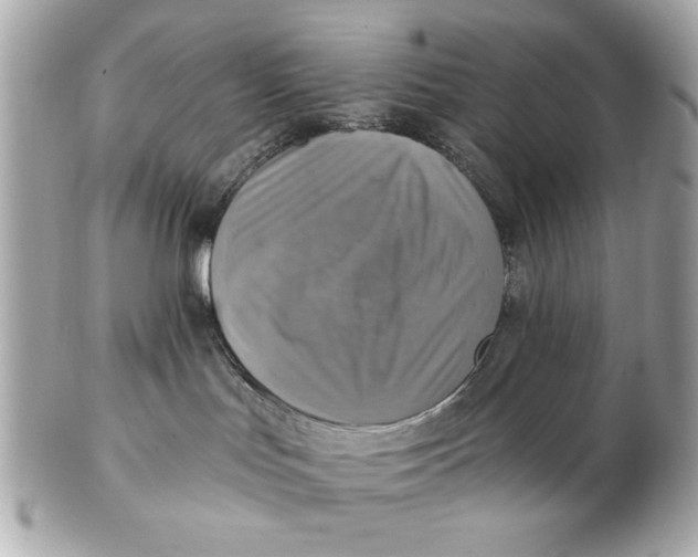 X0000102500047200808291721