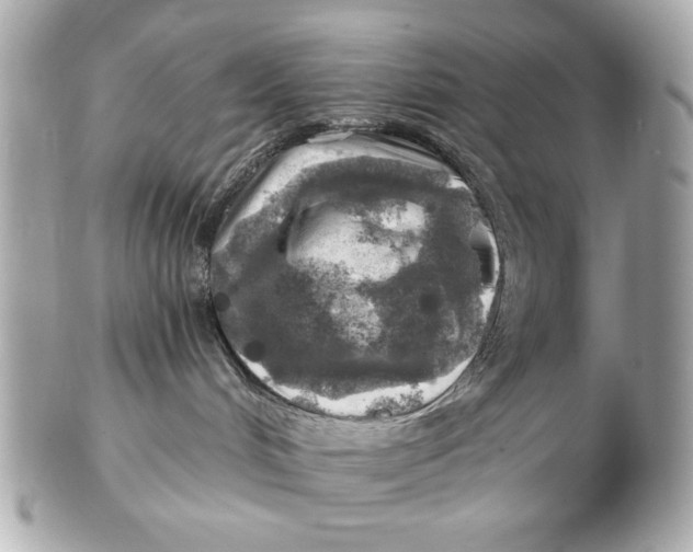 X0000102500048200808291721