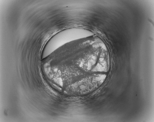 X0000102500049200808291720