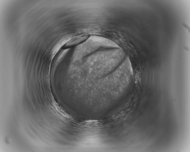 X0000102500052200808291720