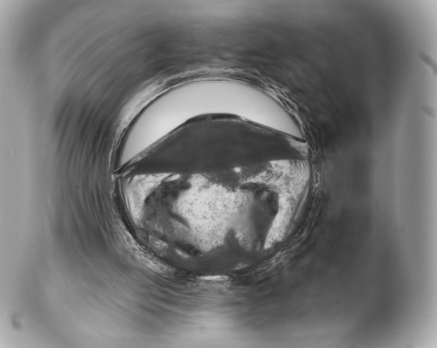 X0000102500053200808291720