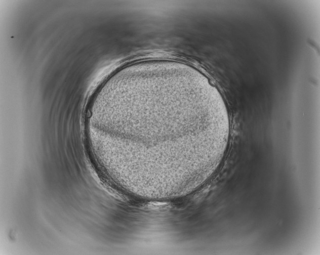 X0000102500055200808291720