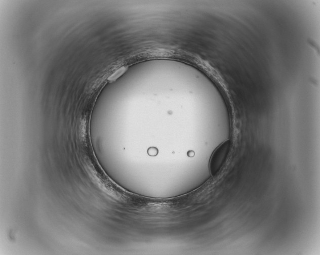 X0000102500057200808291720