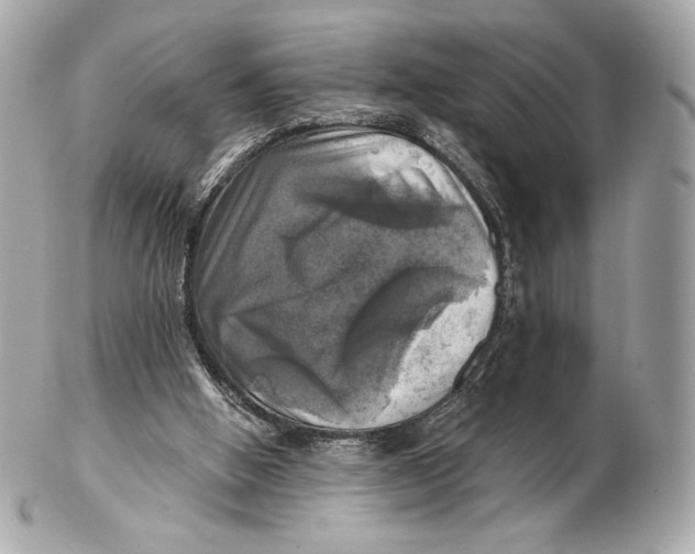 X0000102500058200808291720