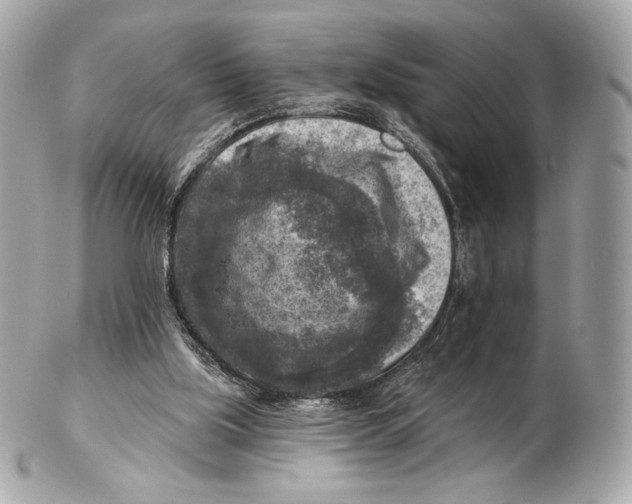 X0000102500059200808291720