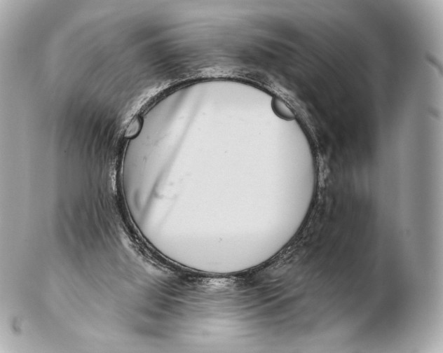 X0000102500060200808291720