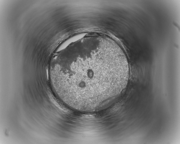 X0000102500061200808291720