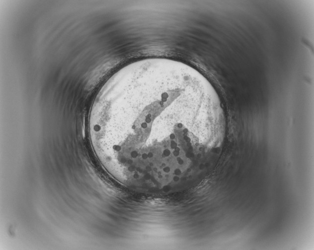 X0000102500062200808291720