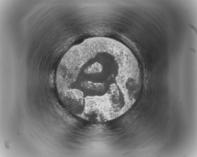 X0000102500065200808291720