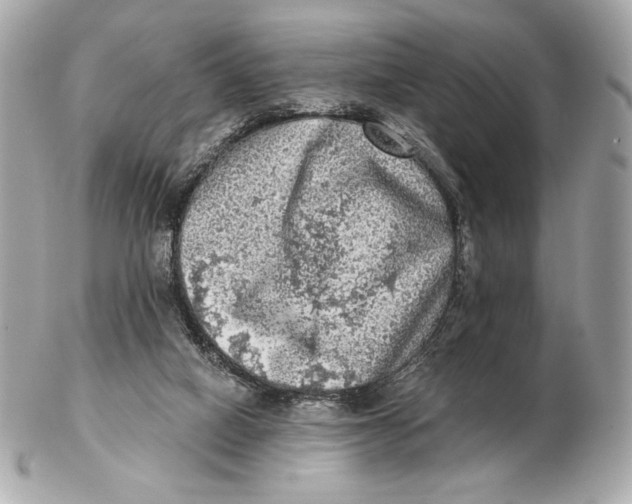 X0000102500066200808291720