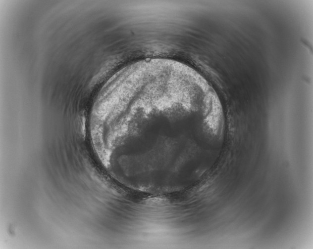 X0000102500067200808291720