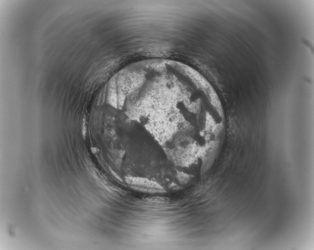 X0000102500069200808291720