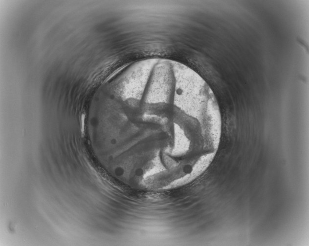 X0000102500070200808291720