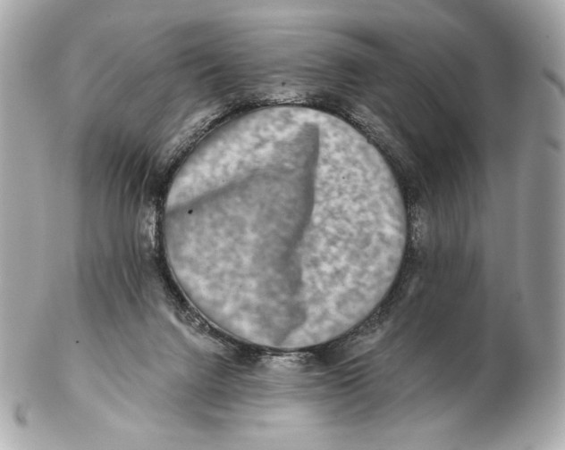 X0000102500072200808291720