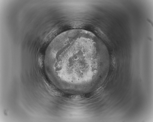 X0000102500074200808291720