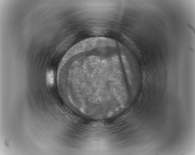 X0000102500075200808291721