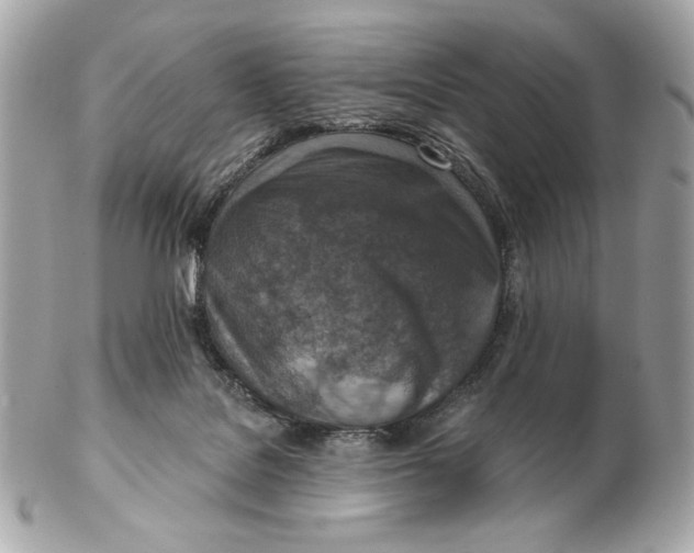 X0000102500076200808291721