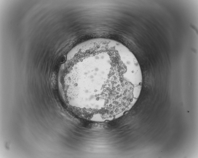 X0000102500077200808291721