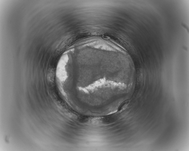 X0000102500078200808291721