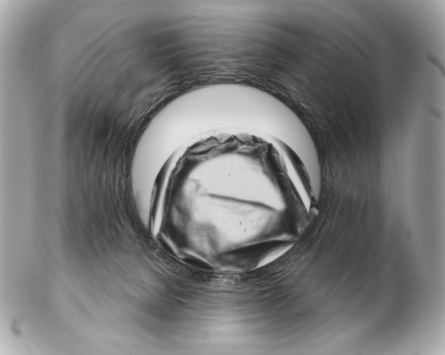 X0000102500080200808291721